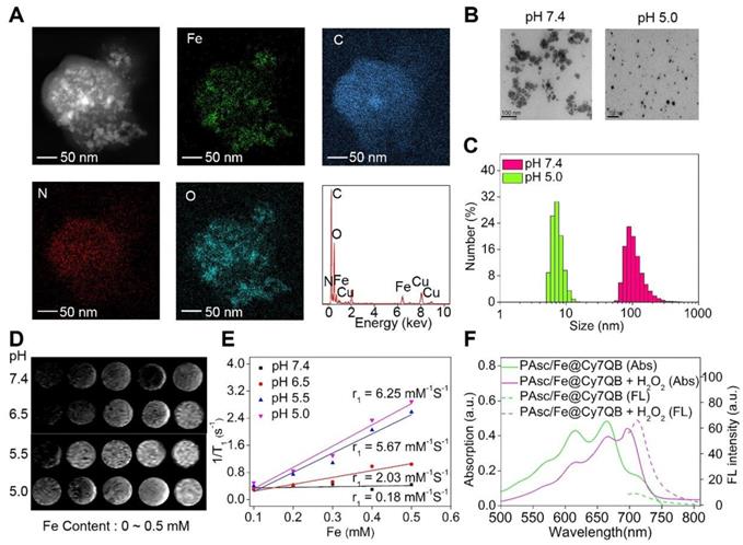 Theranostics Image