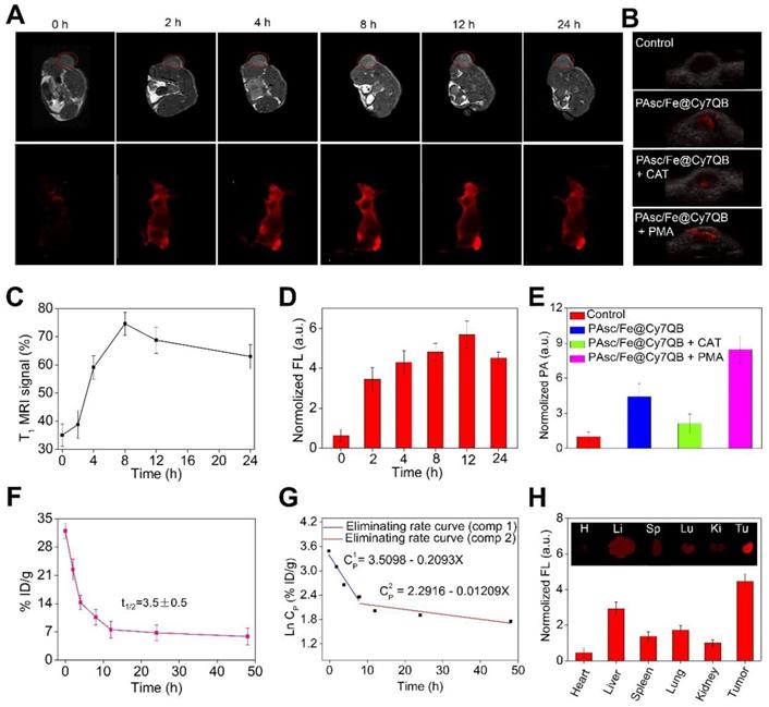 Theranostics Image