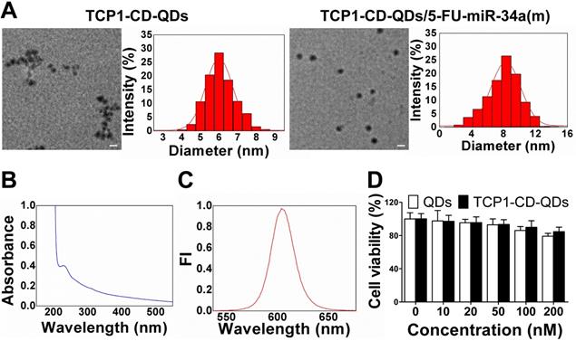 Theranostics Image