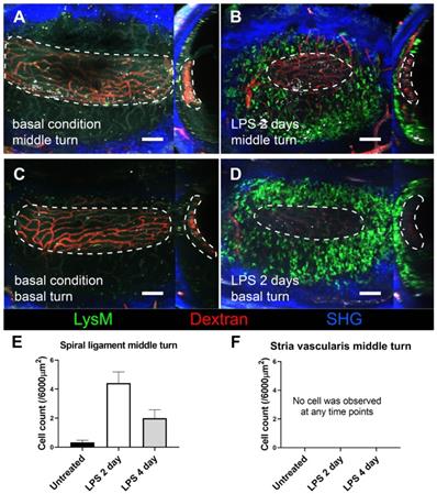 Theranostics Image