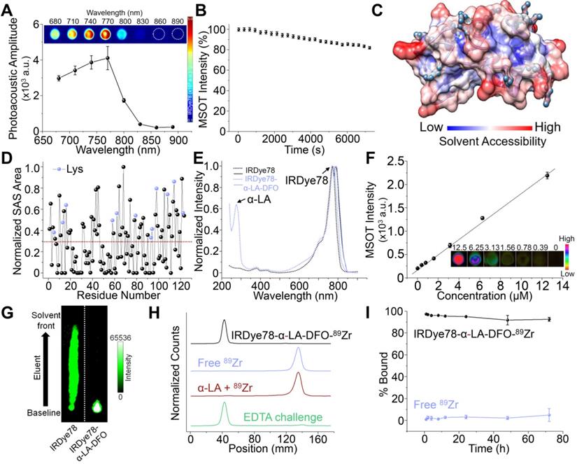 Theranostics Image