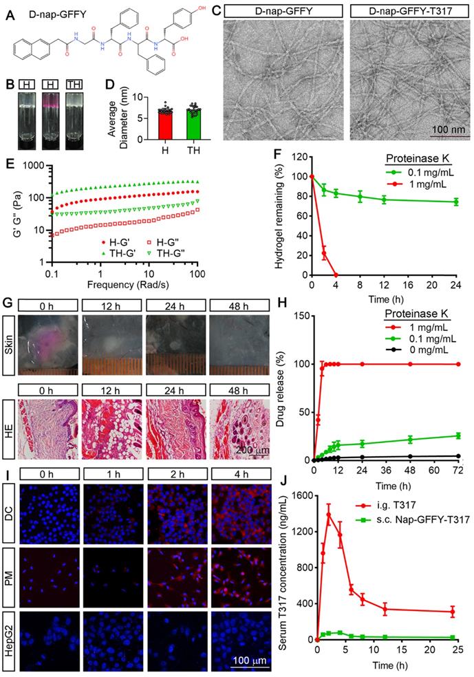 Theranostics Image