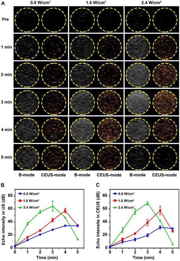 Theranostics Image