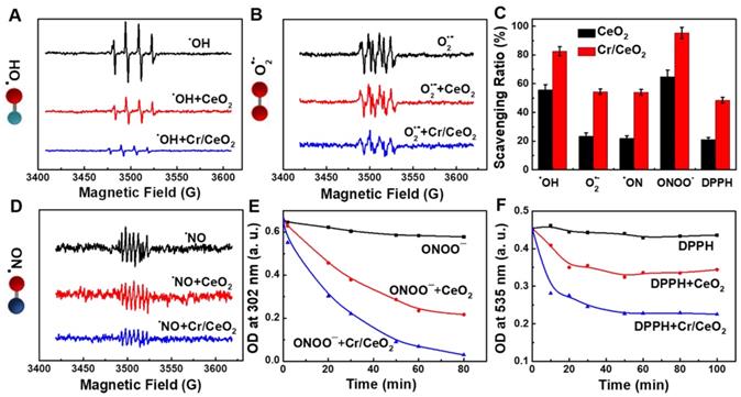 Theranostics Image