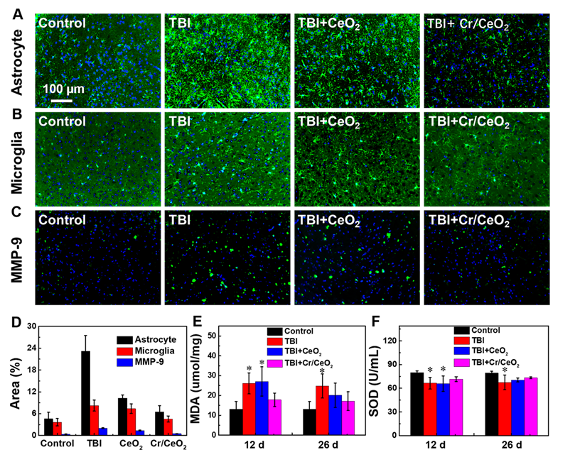 Theranostics Image