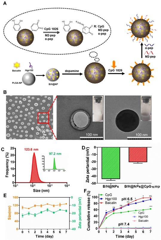 Theranostics Image