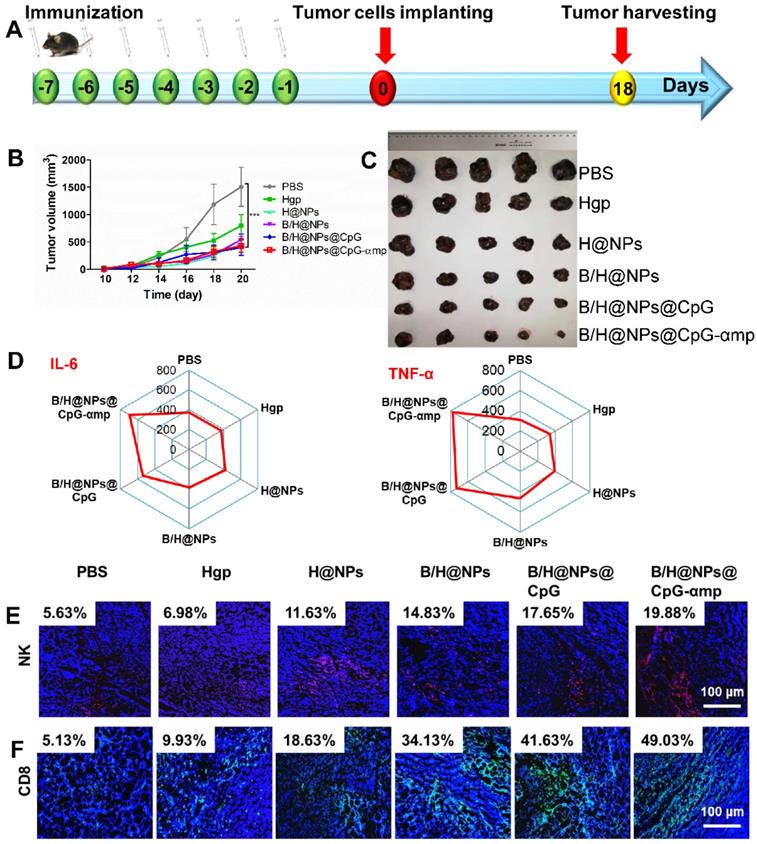 Theranostics Image