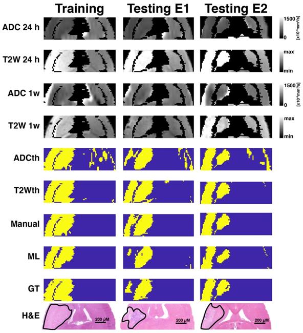 Theranostics Image