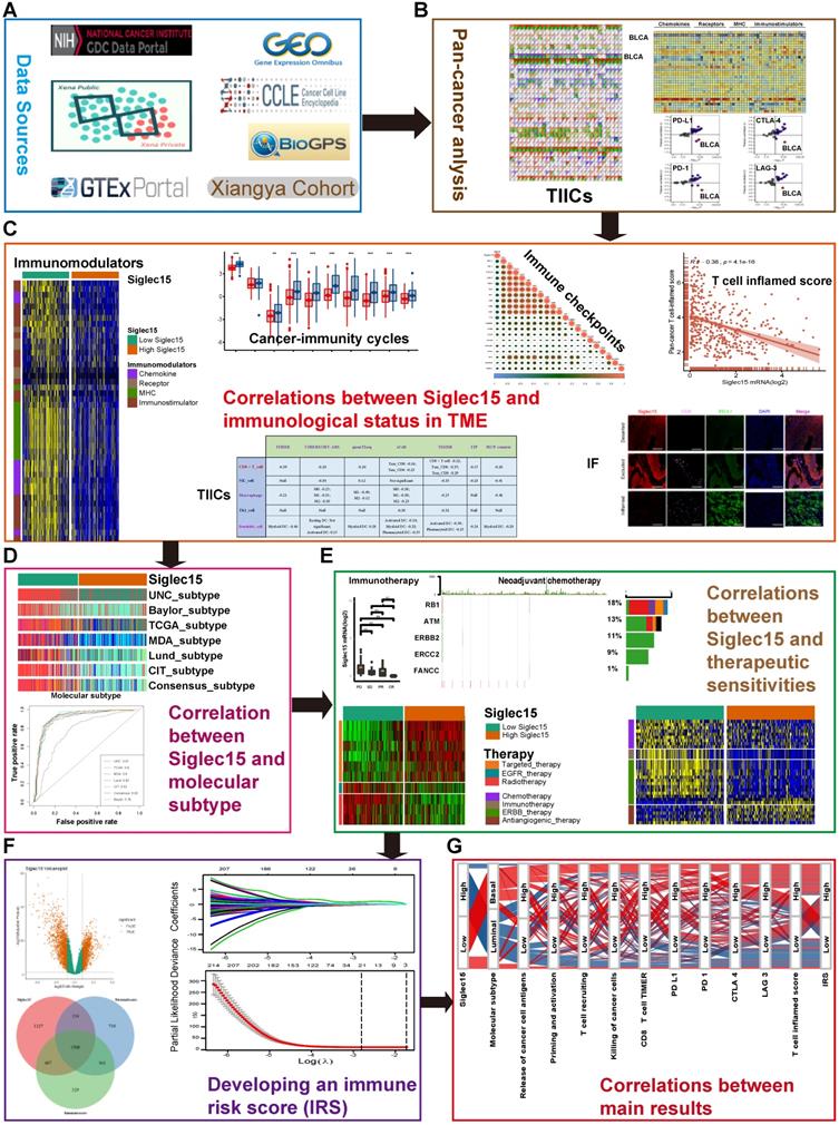 Theranostics Image