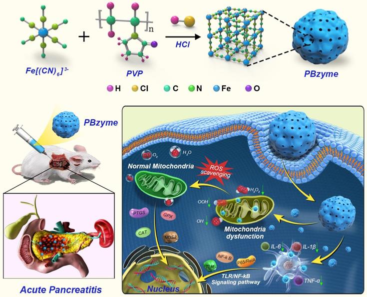 Theranostics Image