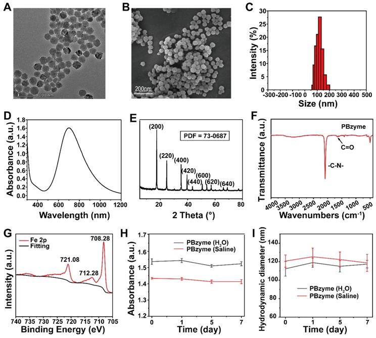 Theranostics Image