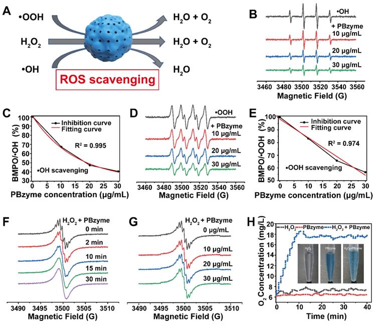 Theranostics Image