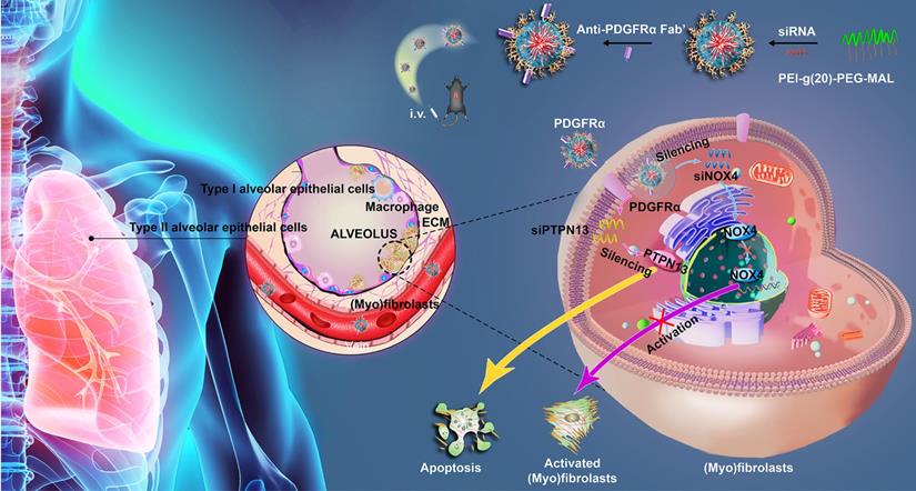 Theranostics Image