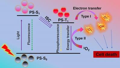 Theranostics Image