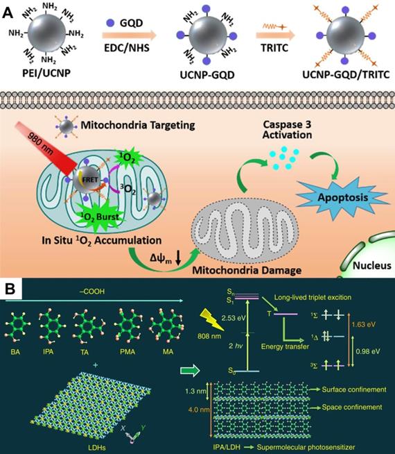 Theranostics Image