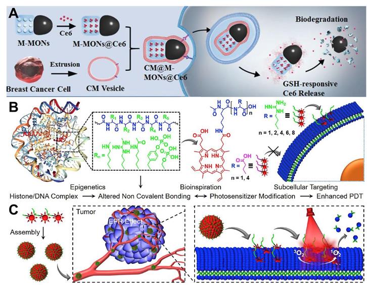 Theranostics Image