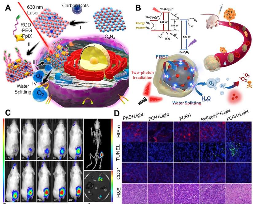 Theranostics Image