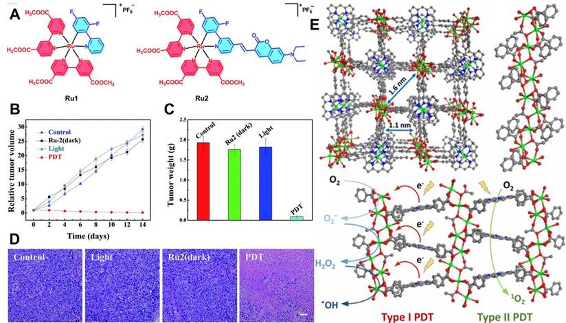 Theranostics Image