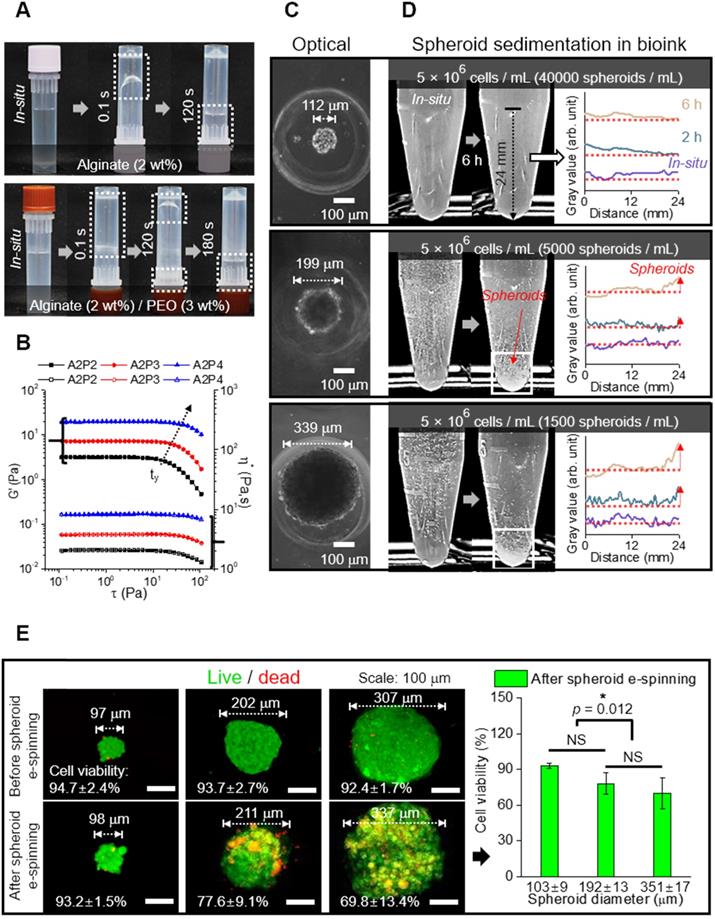 Theranostics Image