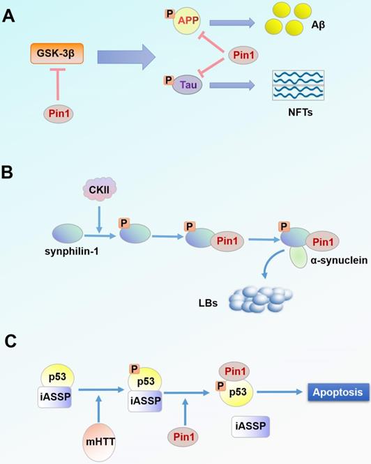 Theranostics Image