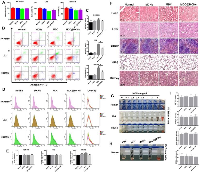 Theranostics Image