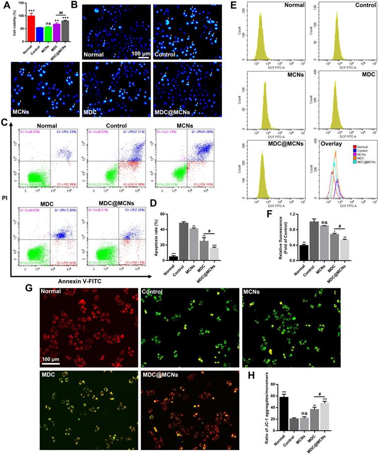 Theranostics Image