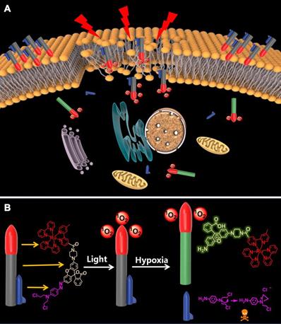 Theranostics Image