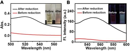 Theranostics Image