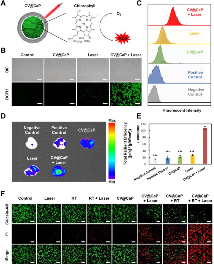 Theranostics Image