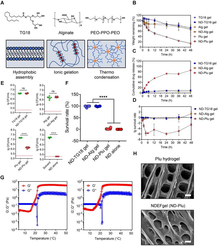 Theranostics Image