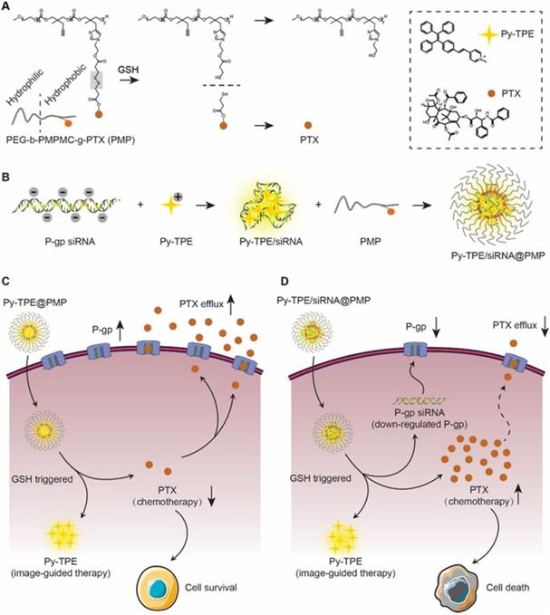 Theranostics Image