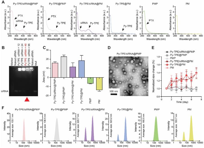 Theranostics Image