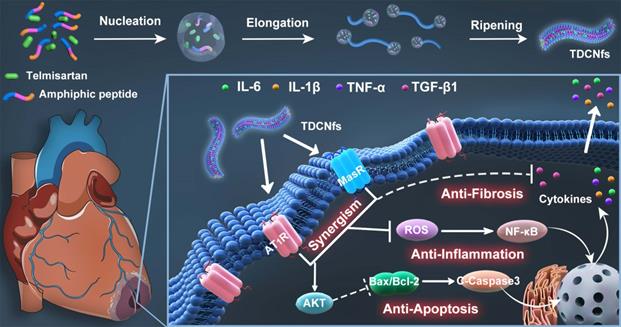 Theranostics Image