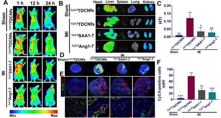 Theranostics Image