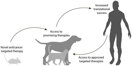 Theranostics Image