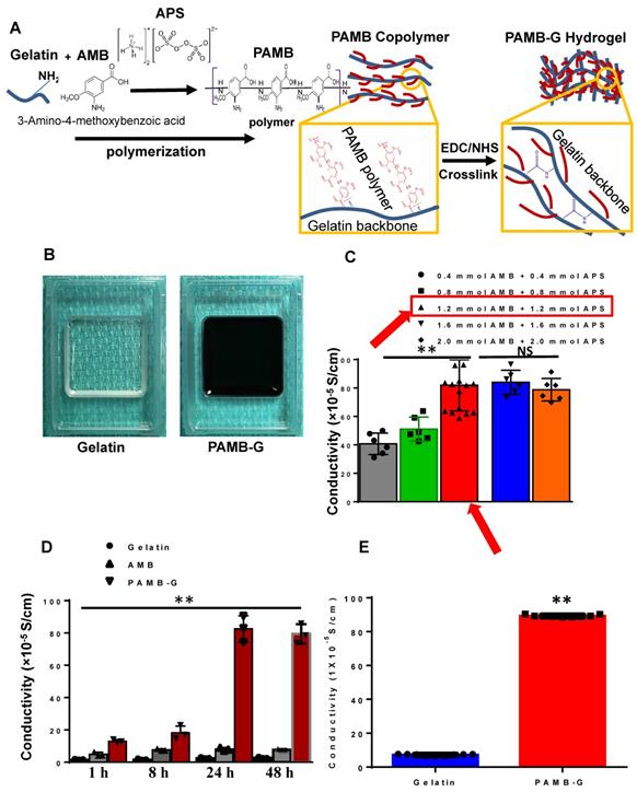 Theranostics Image