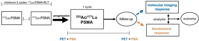 Theranostics Image