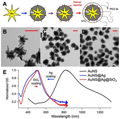 Theranostics Image