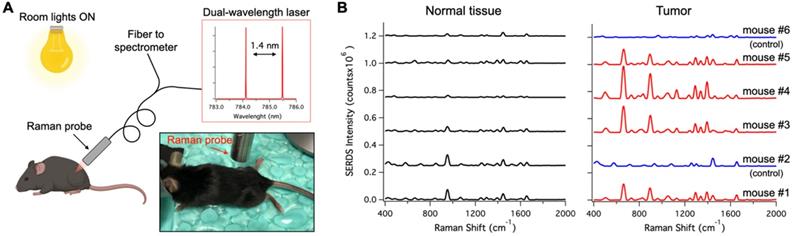 Theranostics Image