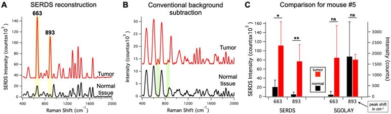 Theranostics Image