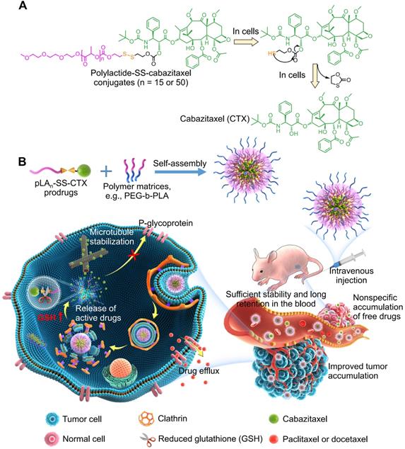 Theranostics Image