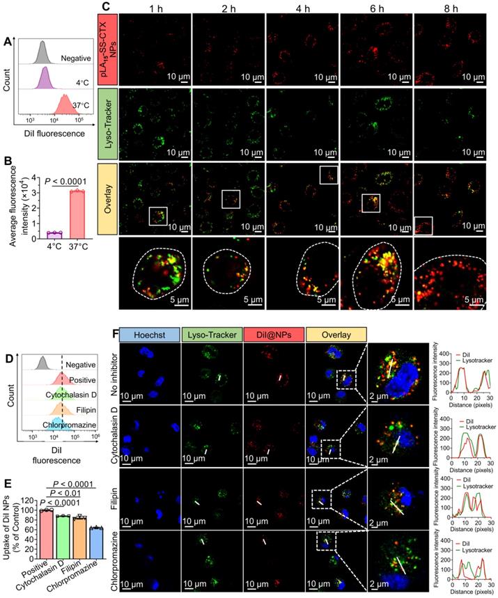 Theranostics Image