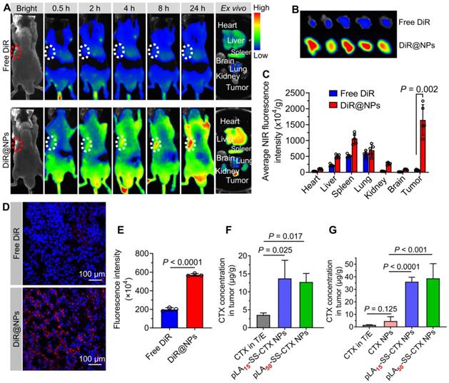 Theranostics Image