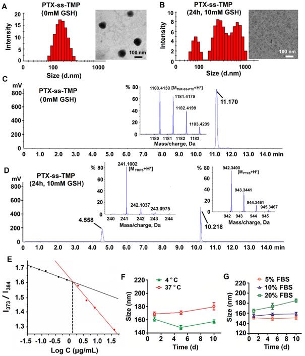 Theranostics Image