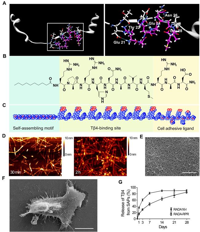 Theranostics Image