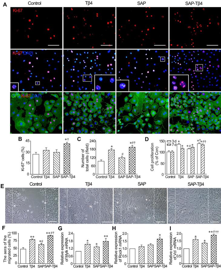 Theranostics Image