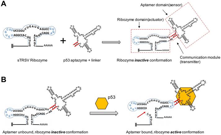 Theranostics Image