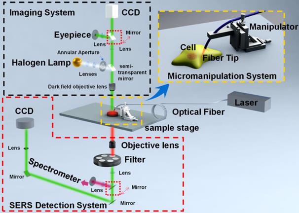 Theranostics Image