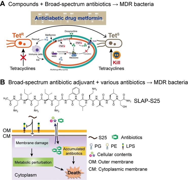Drug repurposing for nextgeneration combination therapies against