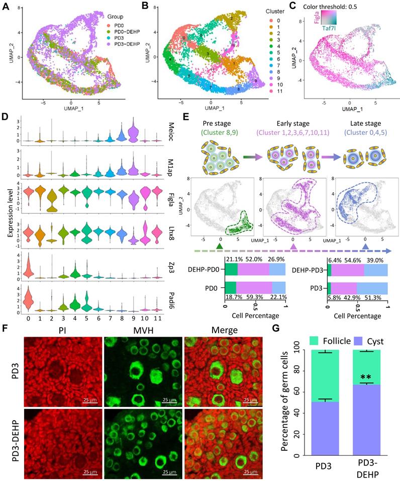 Theranostics Image